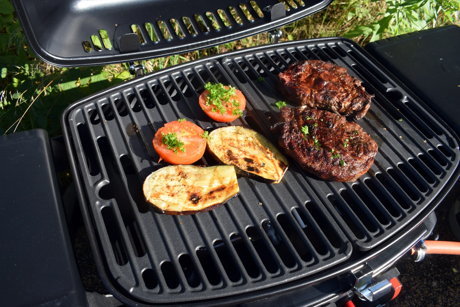 Gassgrill Helle 9 Gassgrill Helle - Bilde 7