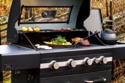 Gassgrill Disa -VarmeKraft Butikk 440526 3