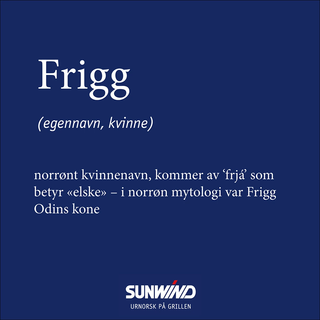 Røykovn Med Grill Frigg 8 Røykovn Med Grill Frigg - Bilde 6